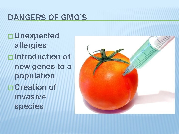 DANGERS OF GMO’S � Unexpected allergies � Introduction of new genes to a population