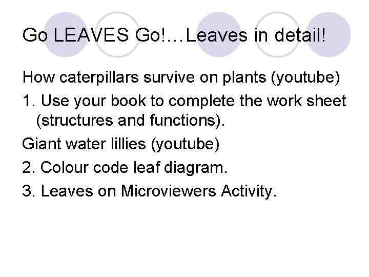 Go LEAVES Go!…Leaves in detail! How caterpillars survive on plants (youtube) 1. Use your