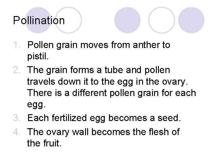 Pollination 1. Pollen grain moves from anther to pistil. 2. The grain forms a