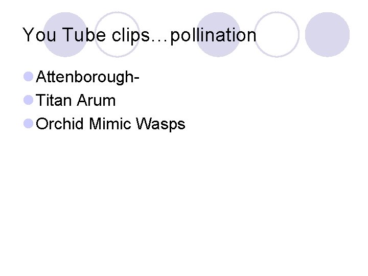 You Tube clips…pollination l Attenboroughl Titan Arum l Orchid Mimic Wasps 
