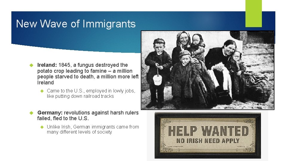 New Wave of Immigrants Ireland: 1845, a fungus destroyed the potato crop leading to