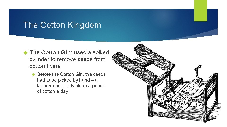 The Cotton Kingdom The Cotton Gin: used a spiked cylinder to remove seeds from