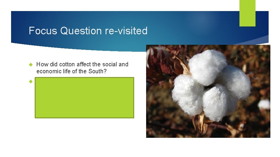 Focus Question re-visited How did cotton affect the social and economic life of the