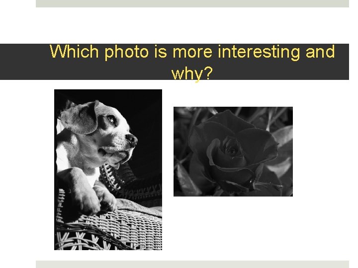 Which photo is more interesting and why? 