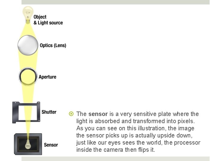  The sensor is a very sensitive plate where the light is absorbed and