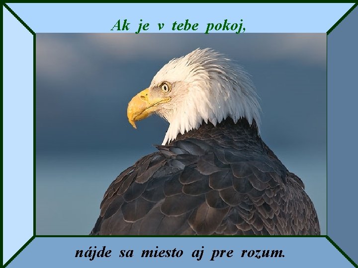 Ak je v tebe pokoj, nájde sa miesto aj pre rozum. 