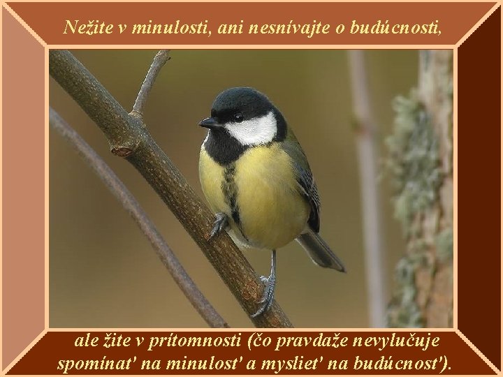 Nežite v minulosti, ani nesnívajte o budúcnosti, ale žite v prítomnosti (čo pravdaže nevylučuje