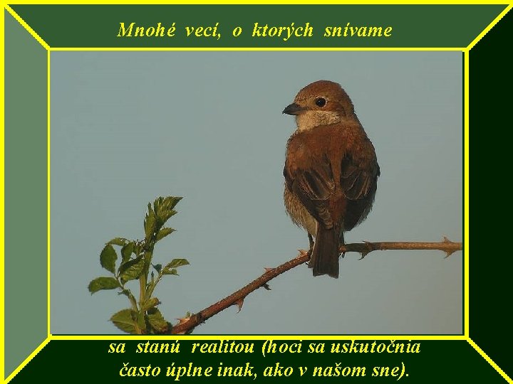 Mnohé vecí, o ktorých snívame sa stanú realitou (hoci sa uskutočnia často úplne inak,