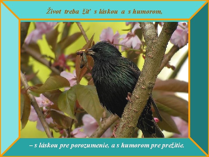 Život treba žiť s láskou a s humorom, – s láskou pre porozumenie, a