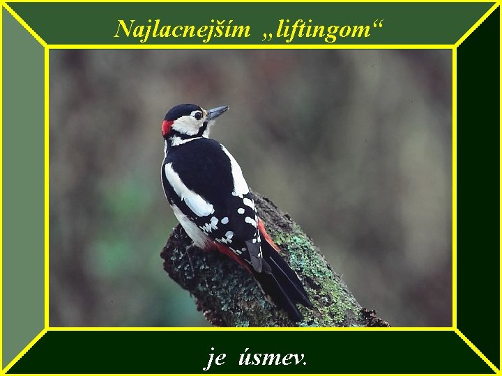 Najlacnejším „liftingom“ je úsmev. 
