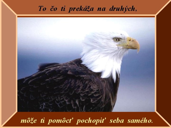 To čo ti prekáža na druhých, môže ti pomôcť pochopiť seba samého. 