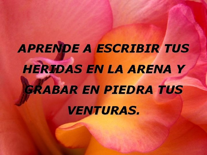 APRENDE A ESCRIBIR TUS HERIDAS EN LA ARENA Y GRABAR EN PIEDRA TUS VENTURAS.