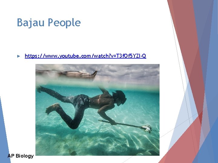Bajau People ► https: //www. youtube. com/watch? v=T 3 f. Of 5 YZI-Q AP Bajau People ► https: //www. youtube. com/watch? v=T 3 f. Of 5 YZI-Q AP