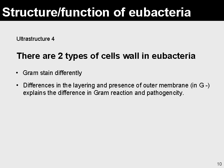 Structure/function of eubacteria Ultrastructure 4 There are 2 types of cells wall in eubacteria