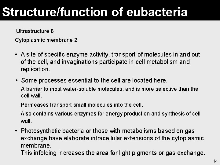 Structure/function of eubacteria Ultrastructure 6 Cytoplasmic membrane 2 • A site of specific enzyme