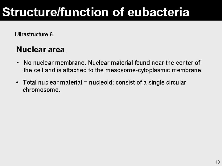 Structure/function of eubacteria Ultrastructure 6 Nuclear area • No nuclear membrane. Nuclear material found