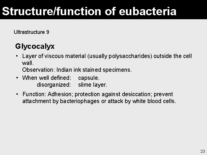 Structure/function of eubacteria Ultrastructure 9 Glycocalyx • Layer of viscous material (usually polysaccharides) outside