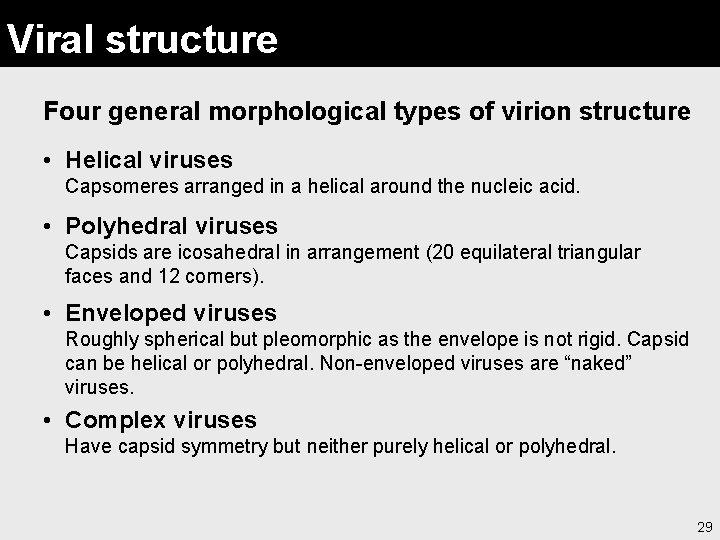Viral structure Four general morphological types of virion structure • Helical viruses Capsomeres arranged