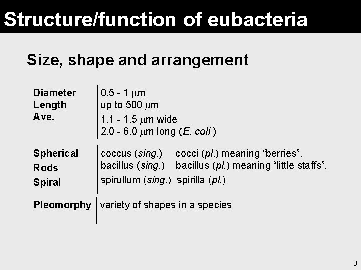 Structure/function of eubacteria Size, shape and arrangement Diameter Length Ave. 0. 5 - 1