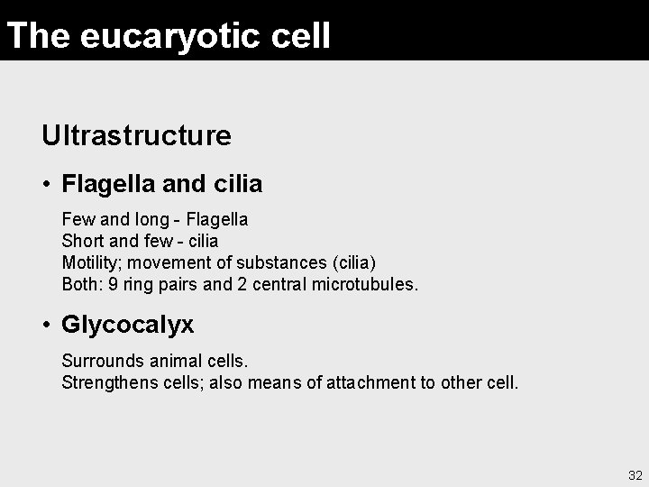The eucaryotic cell Ultrastructure • Flagella and cilia Few and long - Flagella Short