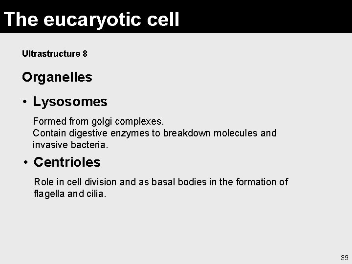 The eucaryotic cell Ultrastructure 8 Organelles • Lysosomes Formed from golgi complexes. Contain digestive