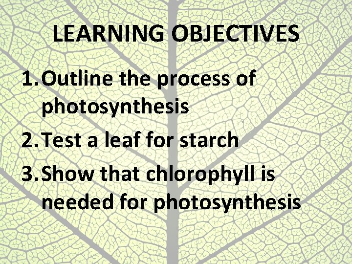 LEARNING OBJECTIVES 1. Outline the process of photosynthesis 2. Test a leaf for starch