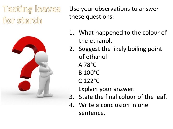 Testing leaves for starch Use your observations to answer these questions: 1. What happened