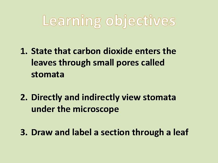 Learning objectives 1. State that carbon dioxide enters the leaves through small pores called