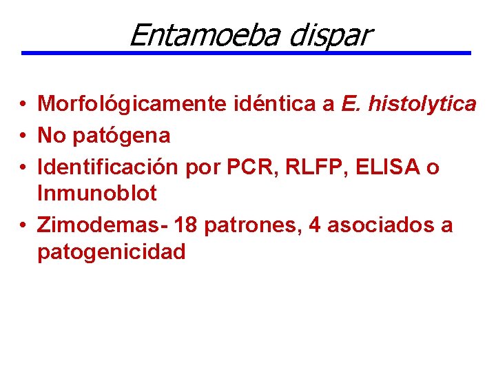 Entamoeba dispar • Morfológicamente idéntica a E. histolytica • No patógena • Identificación por