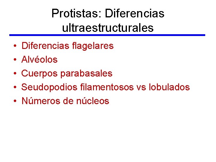 Protistas: Diferencias ultraestructurales • • • Diferencias flagelares Alvéolos Cuerpos parabasales Seudopodios filamentosos vs