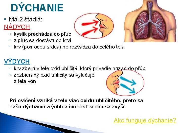 DÝCHANIE Má 2 štádiá: NÁDYCH ◦ kyslík prechádza do pľúc ◦ z pľúc sa