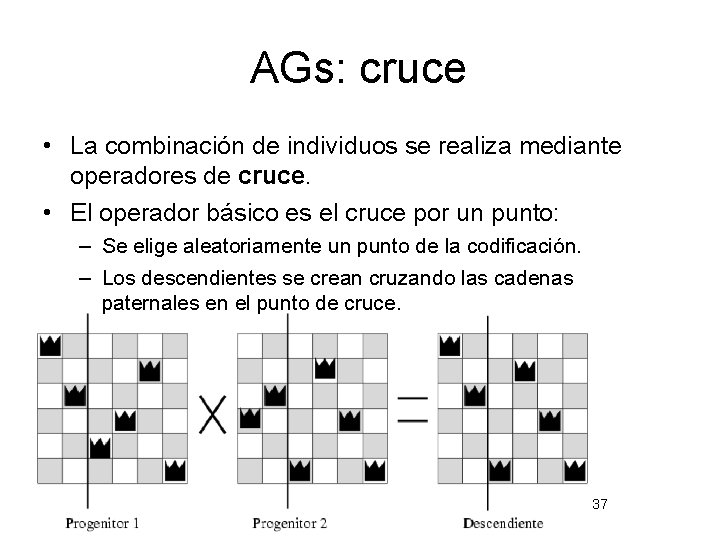 AGs: cruce • La combinación de individuos se realiza mediante operadores de cruce. •