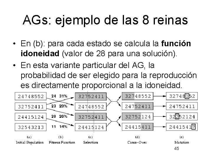 AGs: ejemplo de las 8 reinas • En (b): para cada estado se calcula