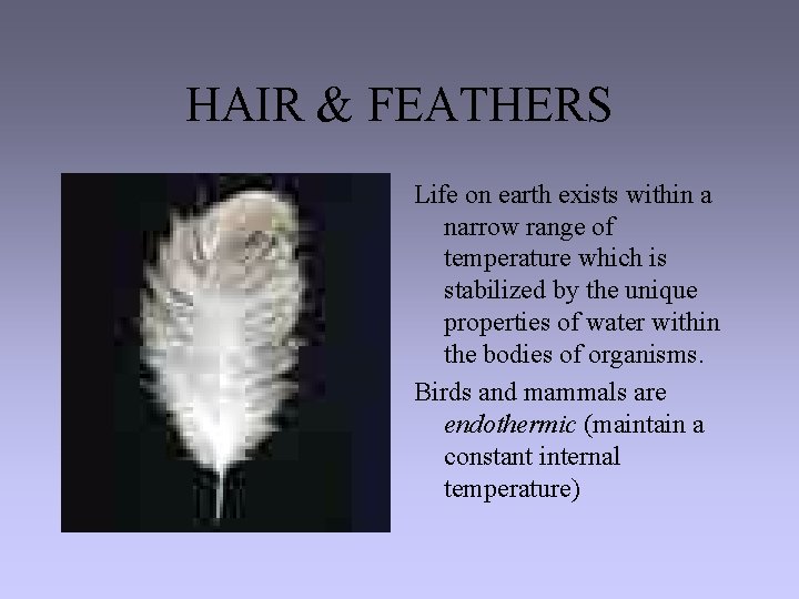 HAIR & FEATHERS Life on earth exists within a narrow range of temperature which