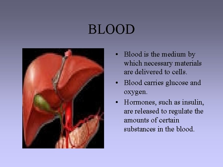 BLOOD • Blood is the medium by which necessary materials are delivered to cells.