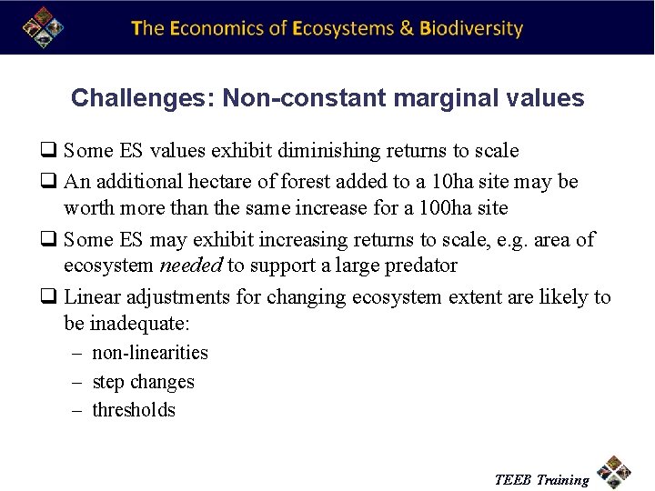 Challenges: Non-constant marginal values q Some ES values exhibit diminishing returns to scale q