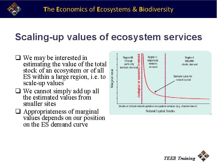 Scaling-up values of ecosystem services q We may be interested in estimating the value