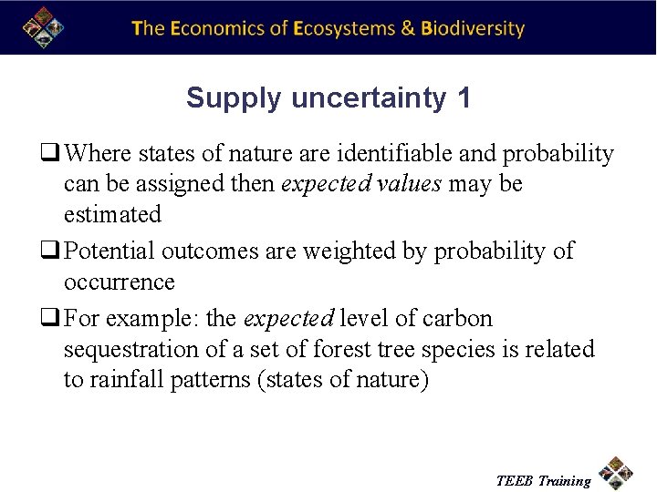 Supply uncertainty 1 q Where states of nature are identifiable and probability can be