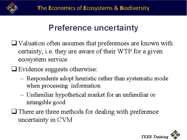 Preference uncertainty q Valuation often assumes that preferences are known with certainty, i. e.