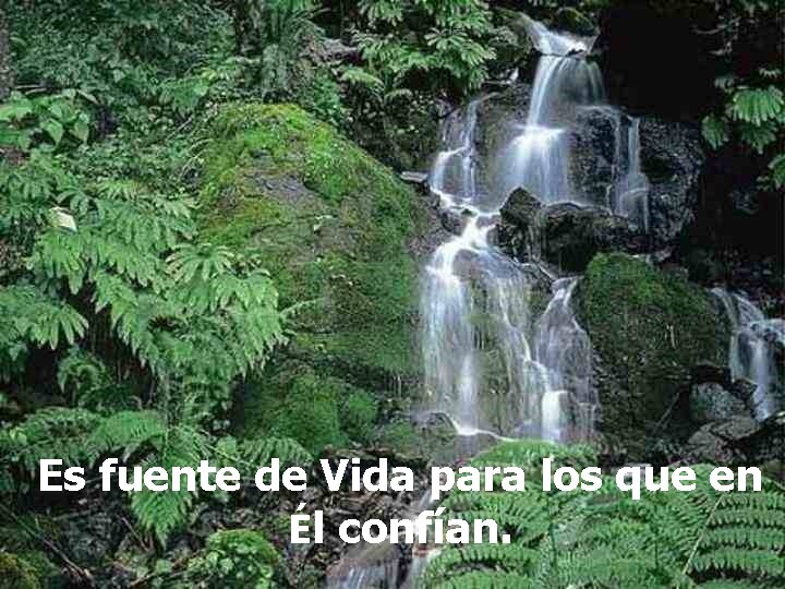 Es fuente de Vida para los que en Él confían. 