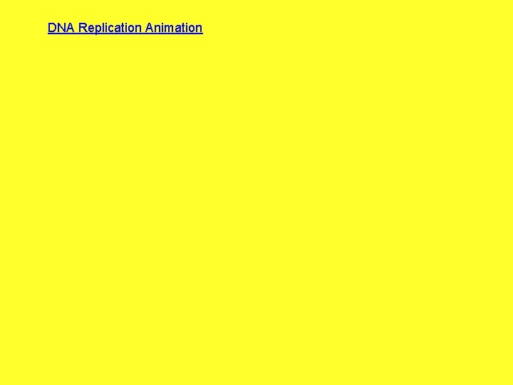 DNA Replication Animation 