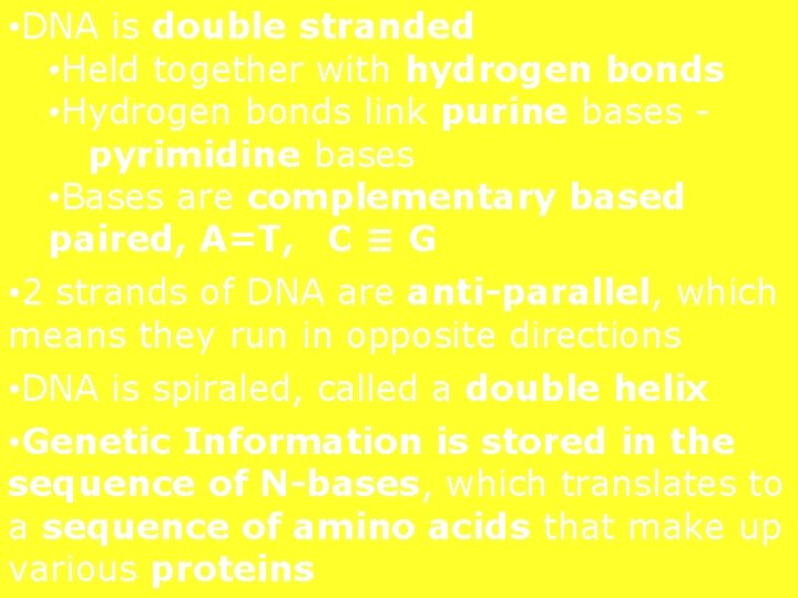  • DNA is double stranded • Held together with hydrogen bonds • Hydrogen