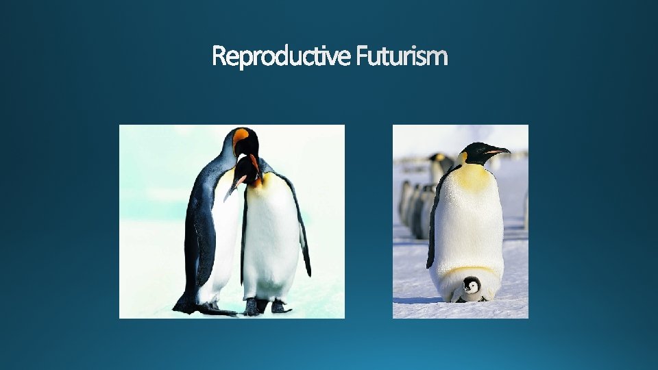 Reproductive Futurism 