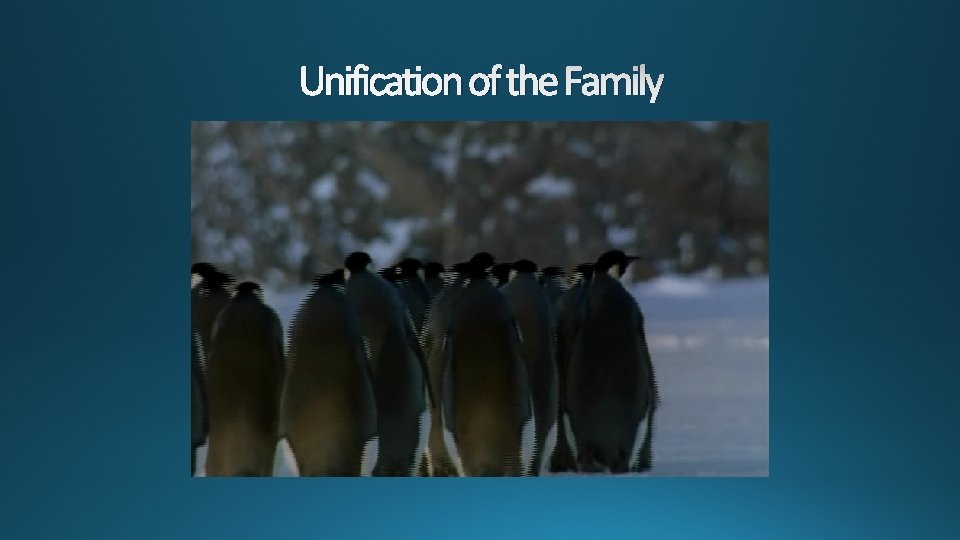 Unification of the Family 
