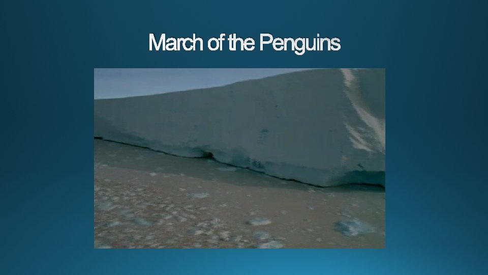 March of the Penguins 