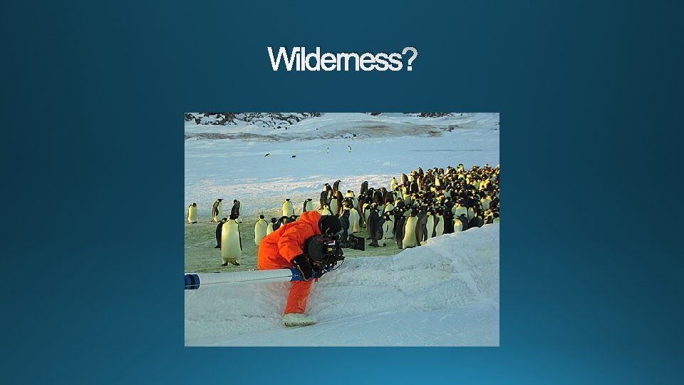 Wilderness? 