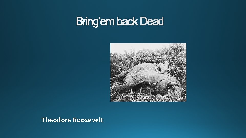 Bring’em back Dead Theodore Roosevelt 