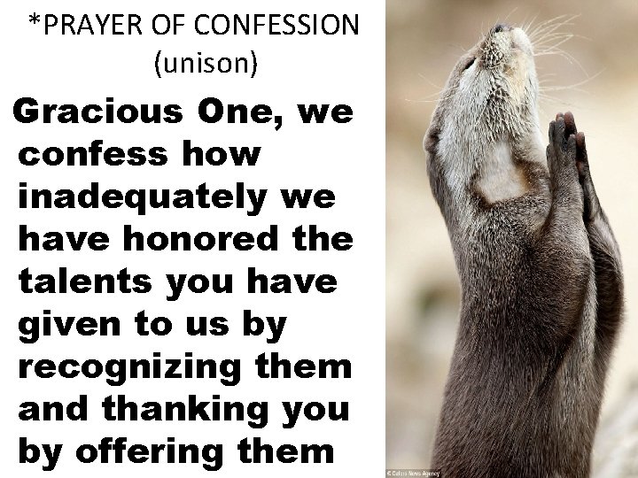 *PRAYER OF CONFESSION (unison) Gracious One, we confess how inadequately we have honored the