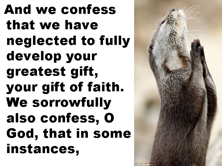 And we confess that we have neglected to fully develop your greatest gift, your