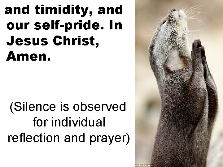 and timidity, and our self-pride. In Jesus Christ, Amen. (Silence is observed for individual